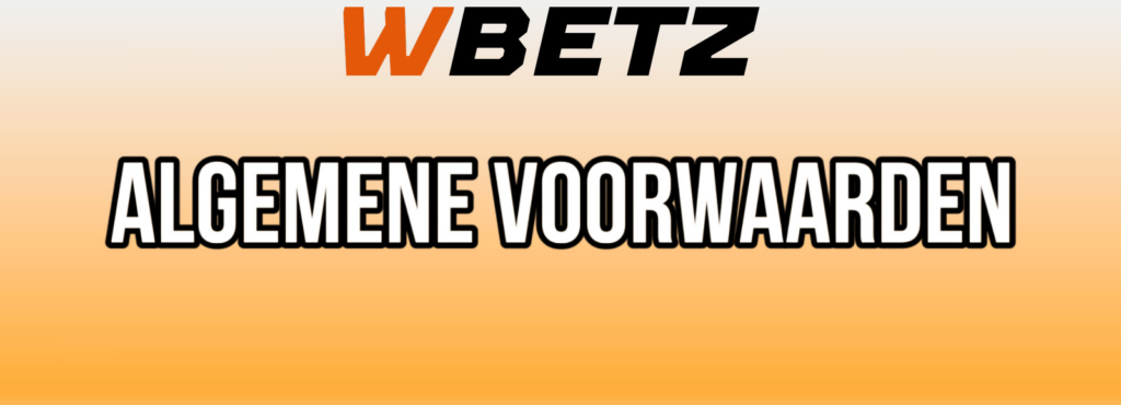 algemene voorwaarden